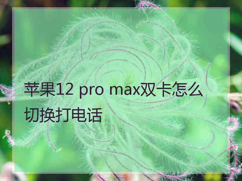 苹果12 pro max双卡怎么切换打电话