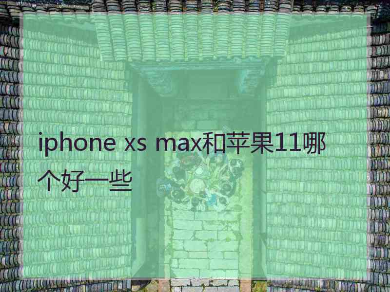 iphone xs max和苹果11哪个好一些