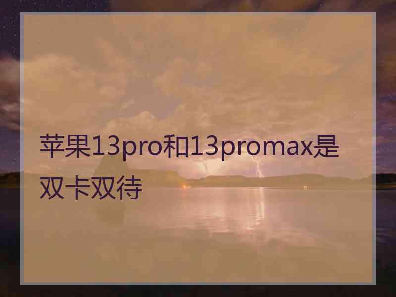 苹果13pro和13promax是双卡双待