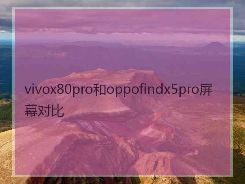 vivox80pro和oppofindx5pro屏幕对比