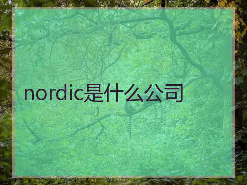 nordic是什么公司