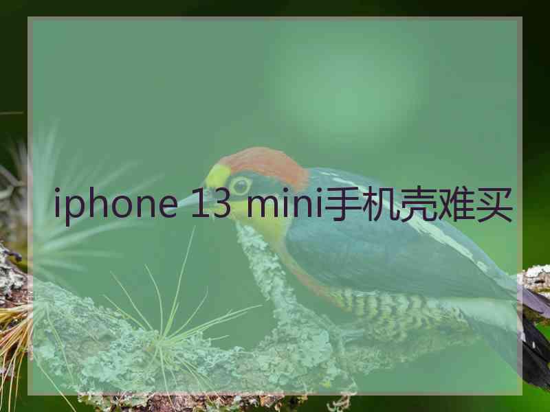 iphone 13 mini手机壳难买