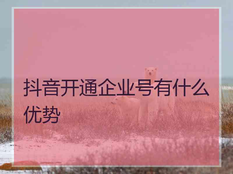 抖音开通企业号有什么优势