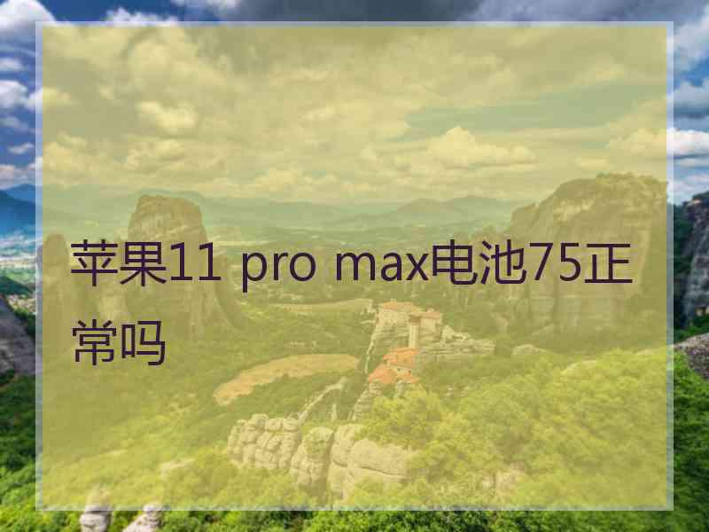 苹果11 pro max电池75正常吗