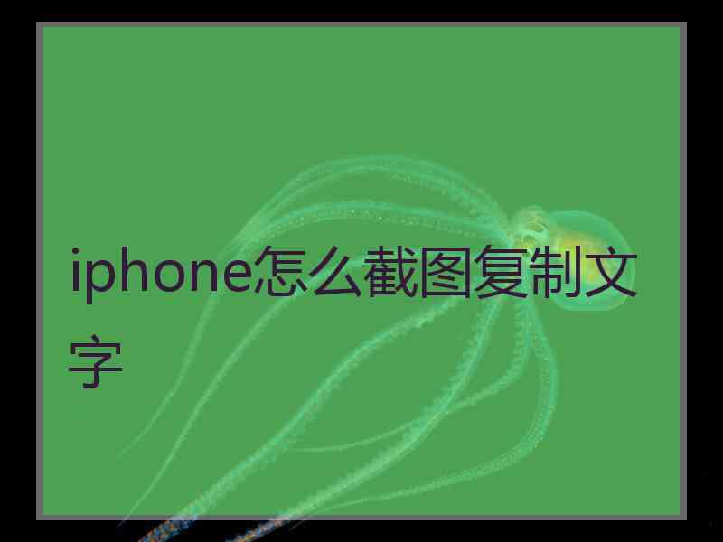 iphone怎么截图复制文字