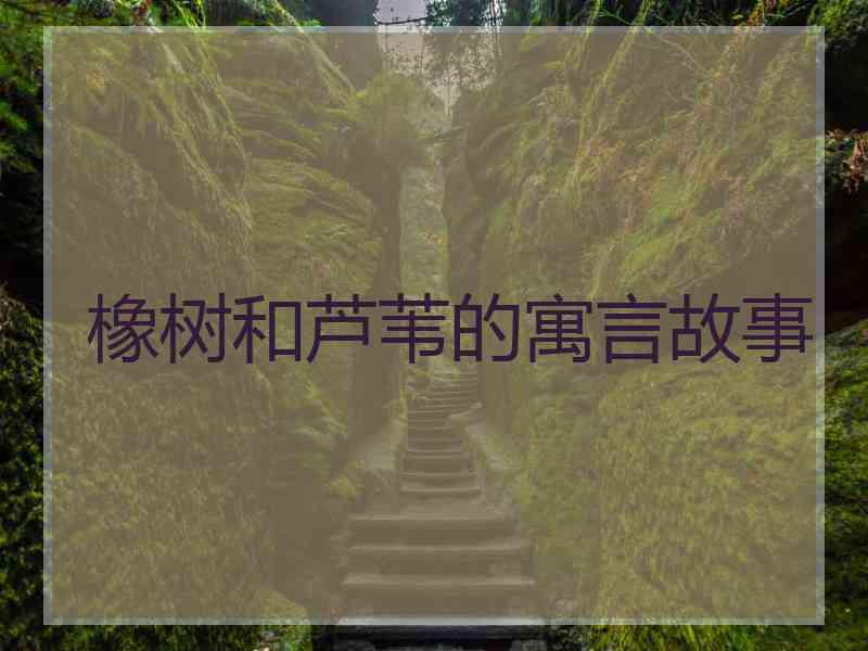 橡树和芦苇的寓言故事