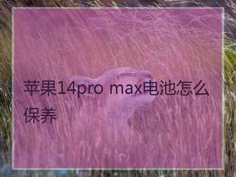 苹果14pro max电池怎么保养