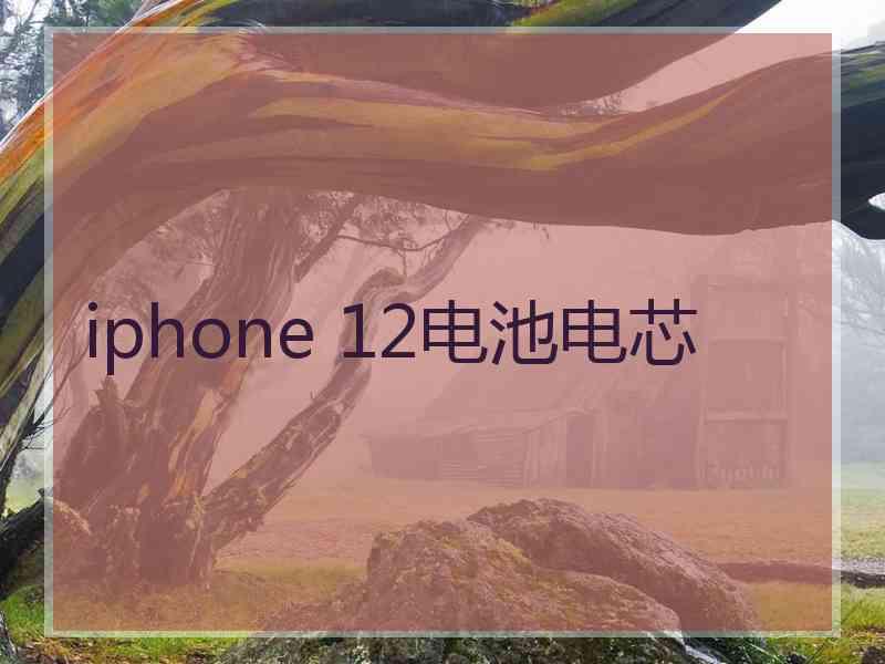 iphone 12电池电芯