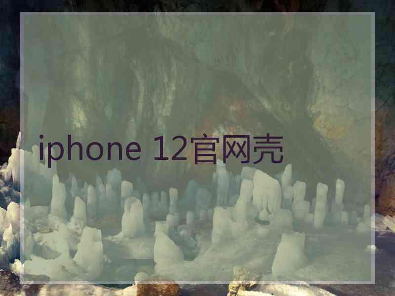 iphone 12官网壳