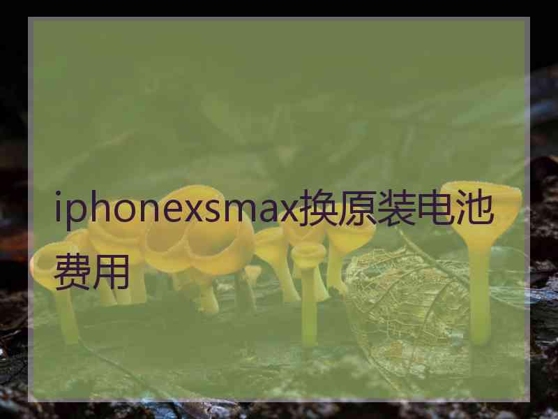 iphonexsmax换原装电池费用