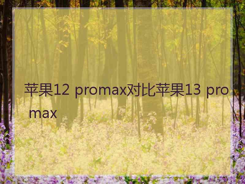 苹果12 promax对比苹果13 pro max