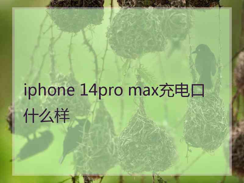 iphone 14pro max充电口什么样