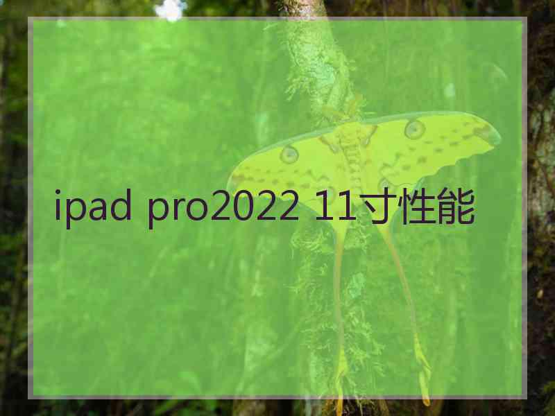 ipad pro2022 11寸性能