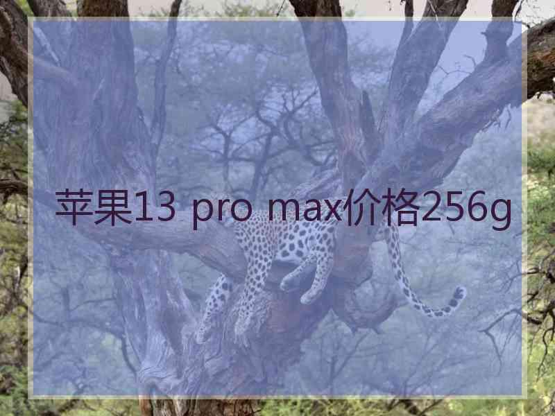 苹果13 pro max价格256g