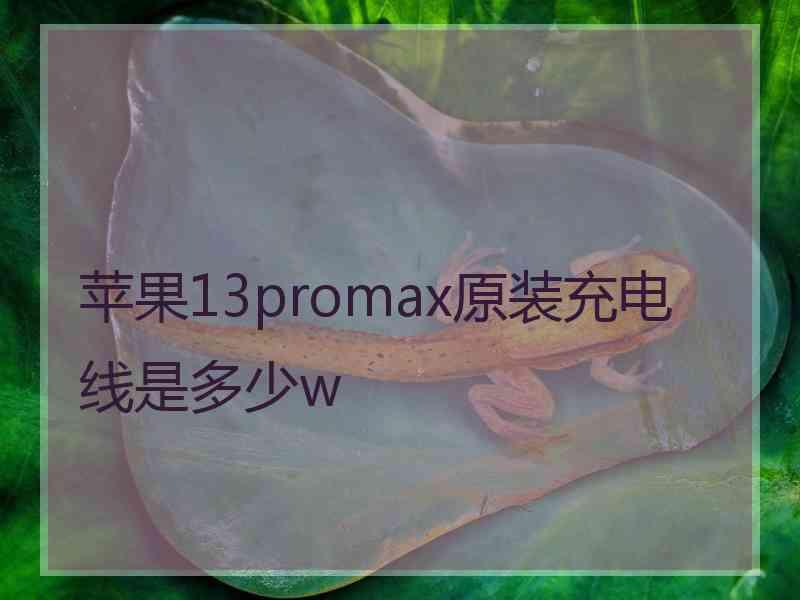 苹果13promax原装充电线是多少w