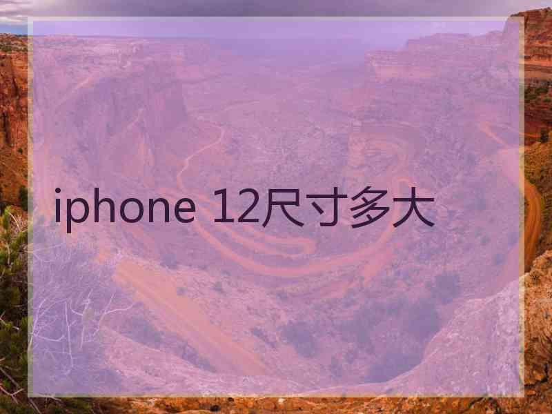 iphone 12尺寸多大