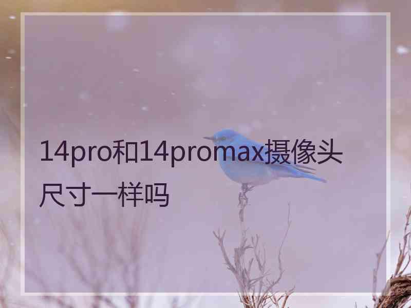 14pro和14promax摄像头尺寸一样吗