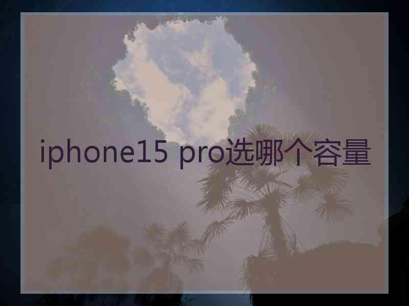 iphone15 pro选哪个容量