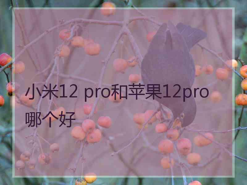 小米12 pro和苹果12pro哪个好