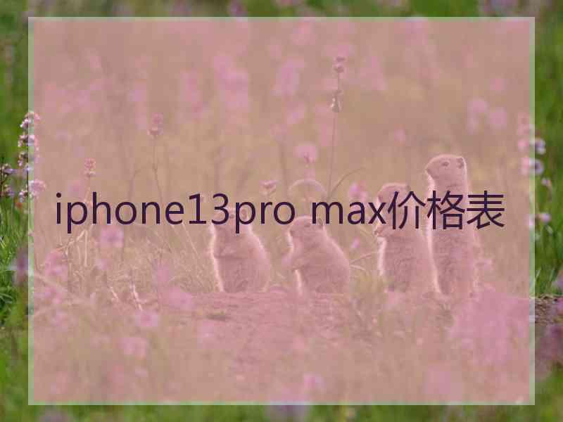 iphone13pro max价格表