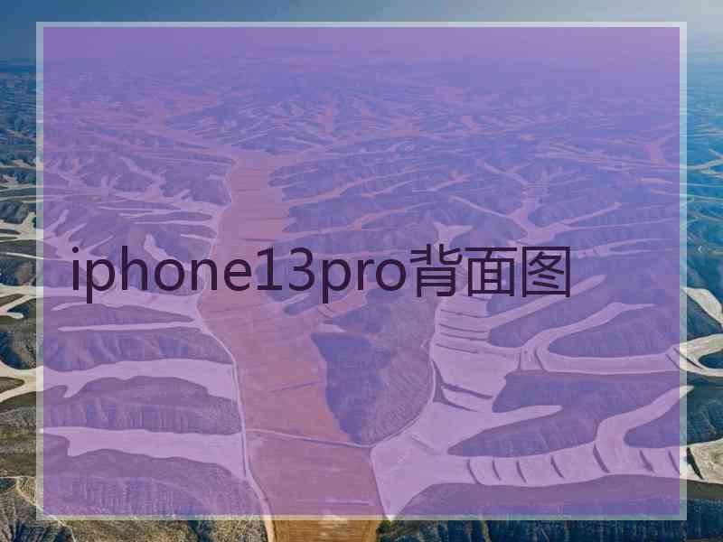 iphone13pro背面图