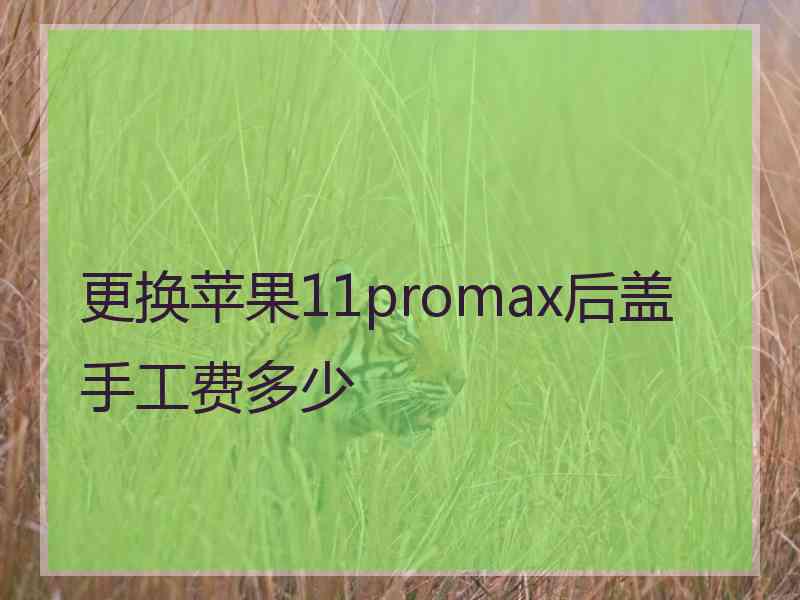 更换苹果11promax后盖手工费多少