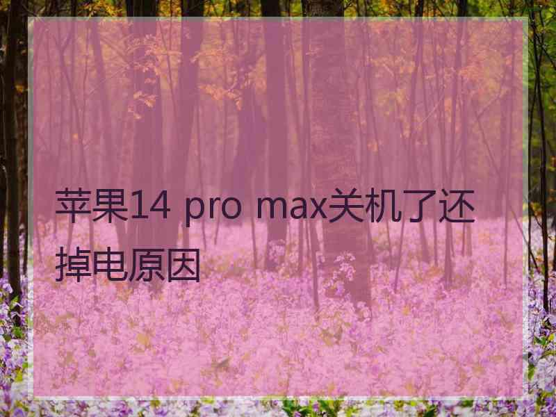 苹果14 pro max关机了还掉电原因