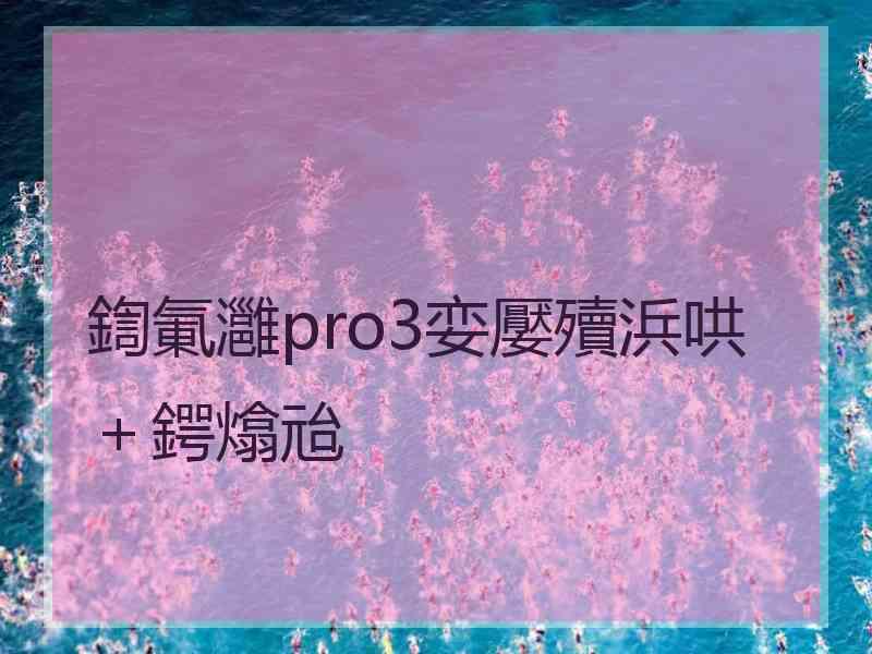 鍧氭灉pro3娈嬮殰浜哄＋鍔熻兘