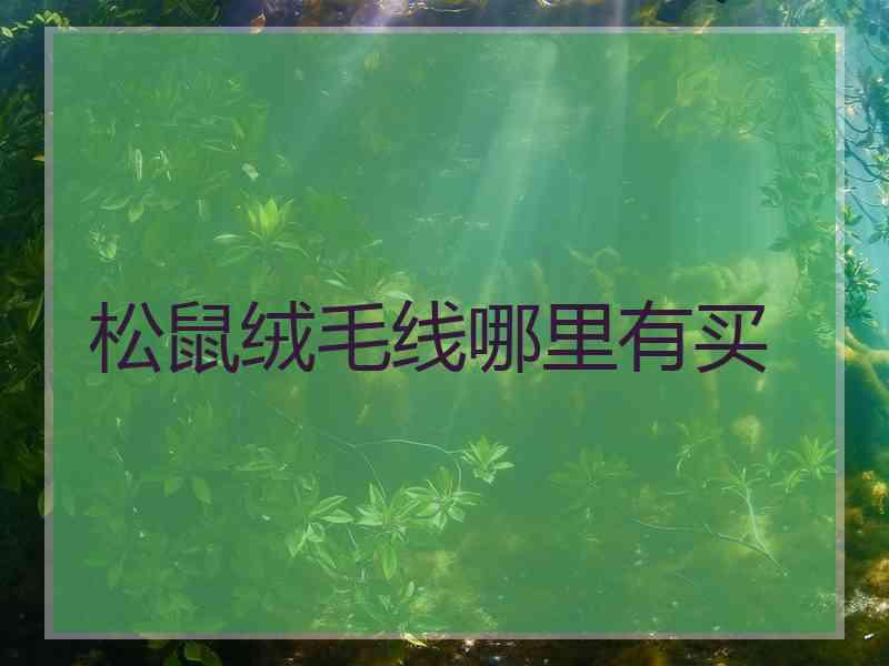 松鼠绒毛线哪里有买