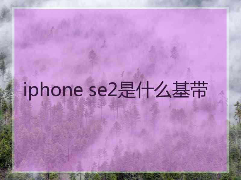 iphone se2是什么基带