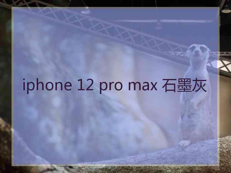 iphone 12 pro max 石墨灰