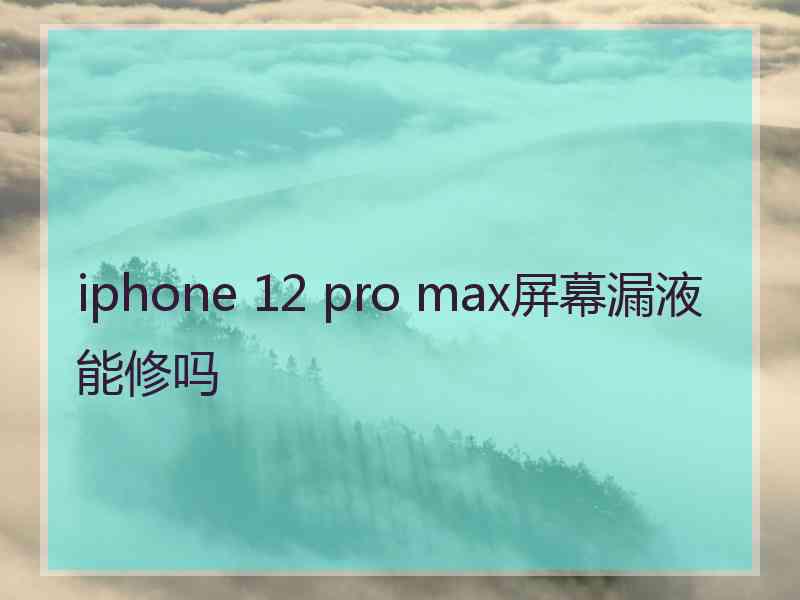 iphone 12 pro max屏幕漏液能修吗