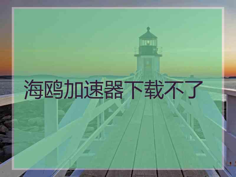 海鸥加速器下载不了