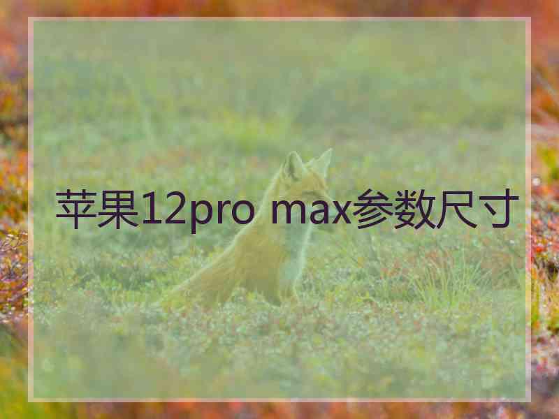 苹果12pro max参数尺寸