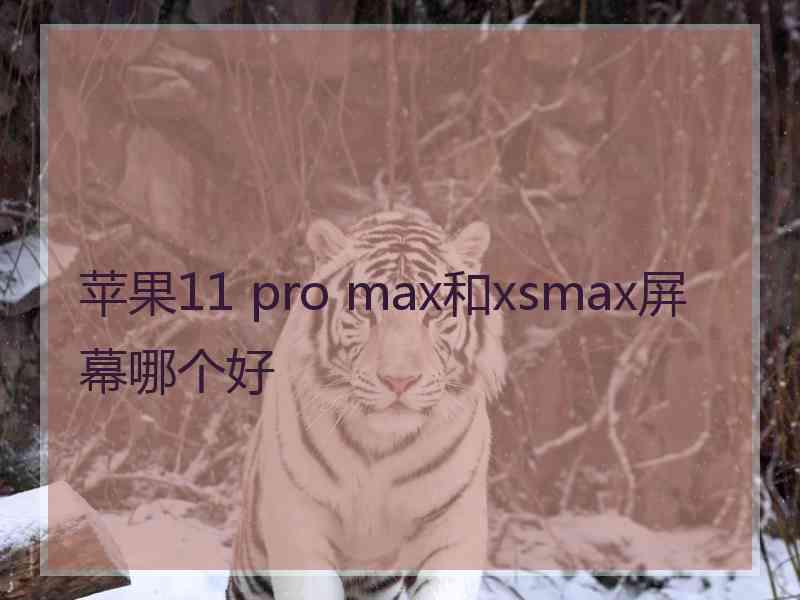 苹果11 pro max和xsmax屏幕哪个好