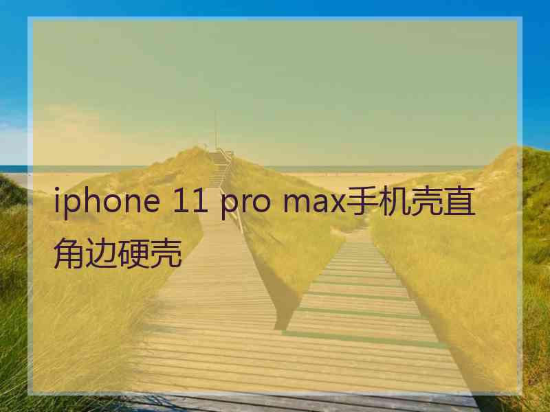 iphone 11 pro max手机壳直角边硬壳