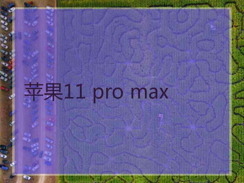 苹果11 pro max