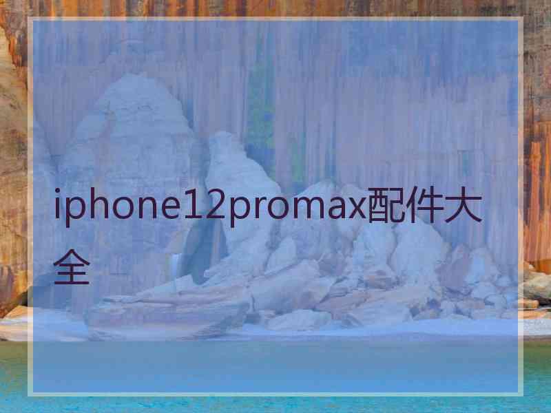 iphone12promax配件大全