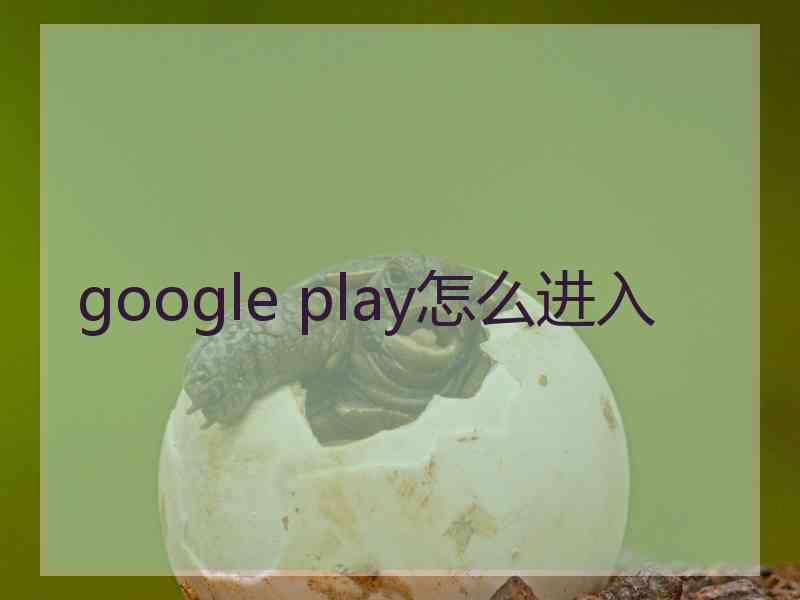 google play怎么进入