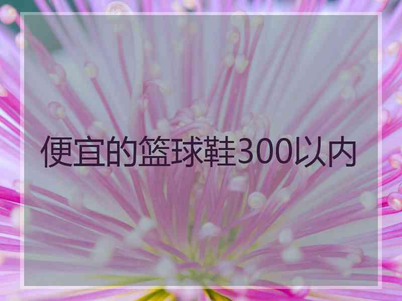 便宜的篮球鞋300以内