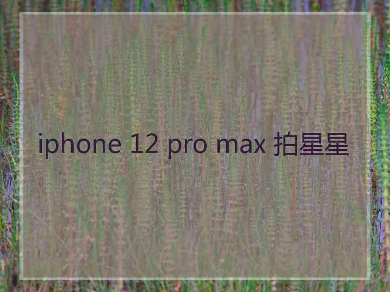 iphone 12 pro max 拍星星