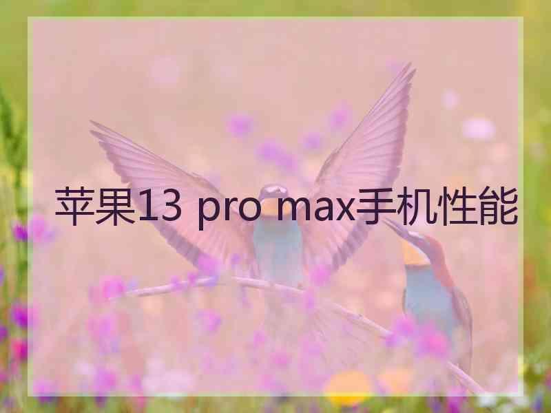 苹果13 pro max手机性能