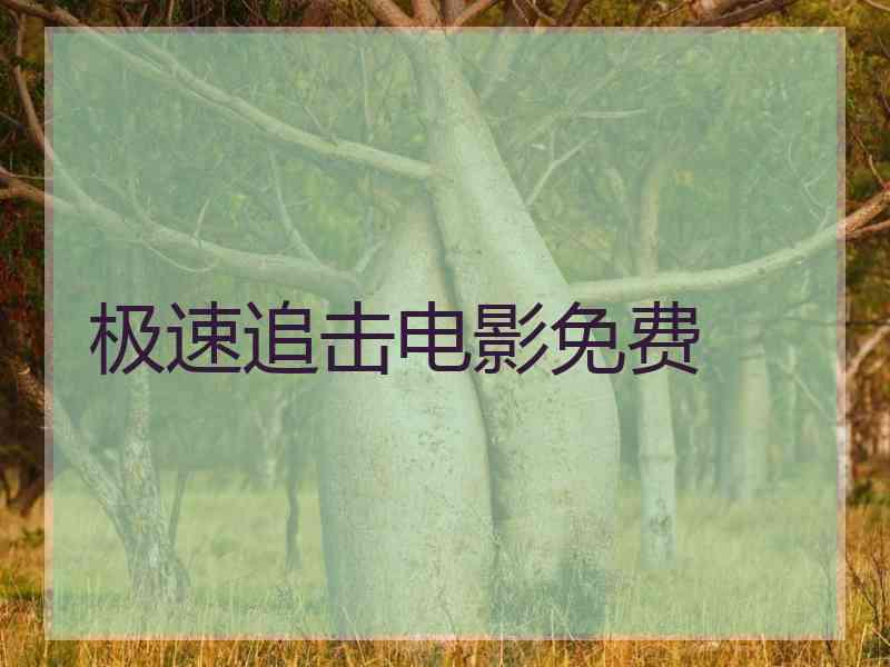 极速追击电影免费