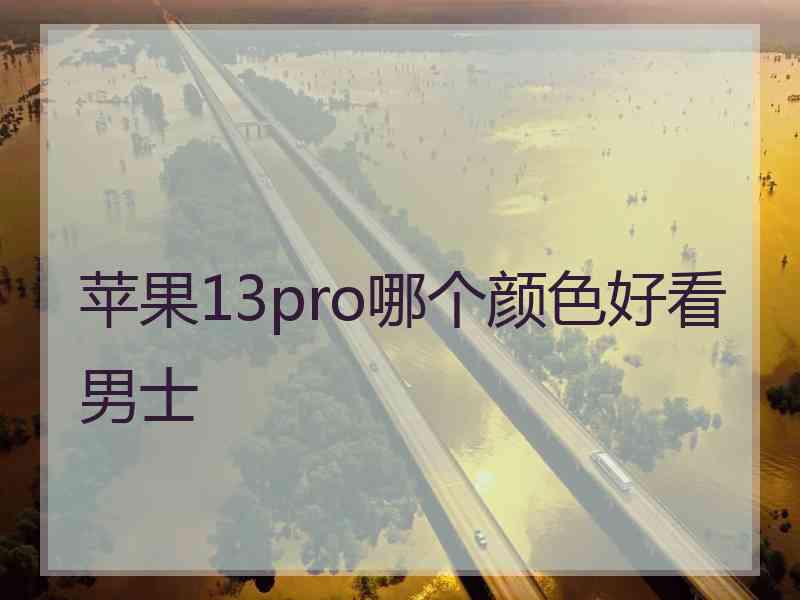 苹果13pro哪个颜色好看男士