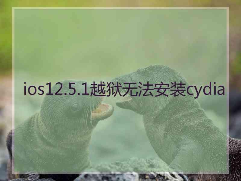 ios12.5.1越狱无法安装cydia