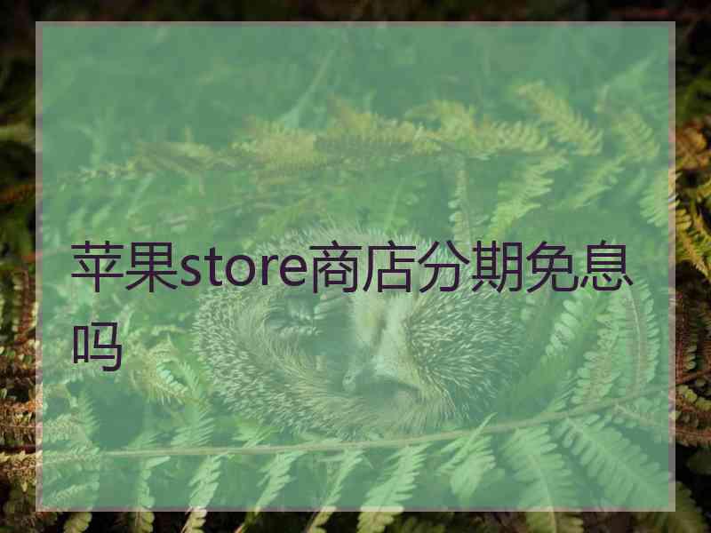 苹果store商店分期免息吗