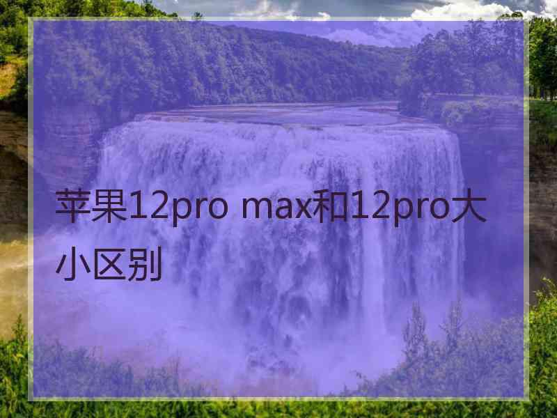 苹果12pro max和12pro大小区别