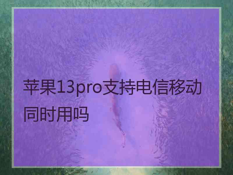 苹果13pro支持电信移动同时用吗