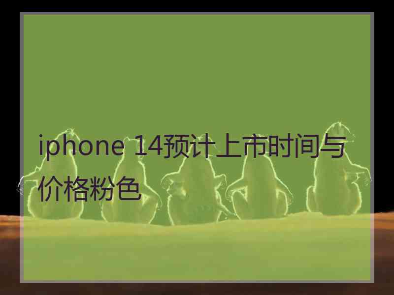 iphone 14预计上市时间与价格粉色