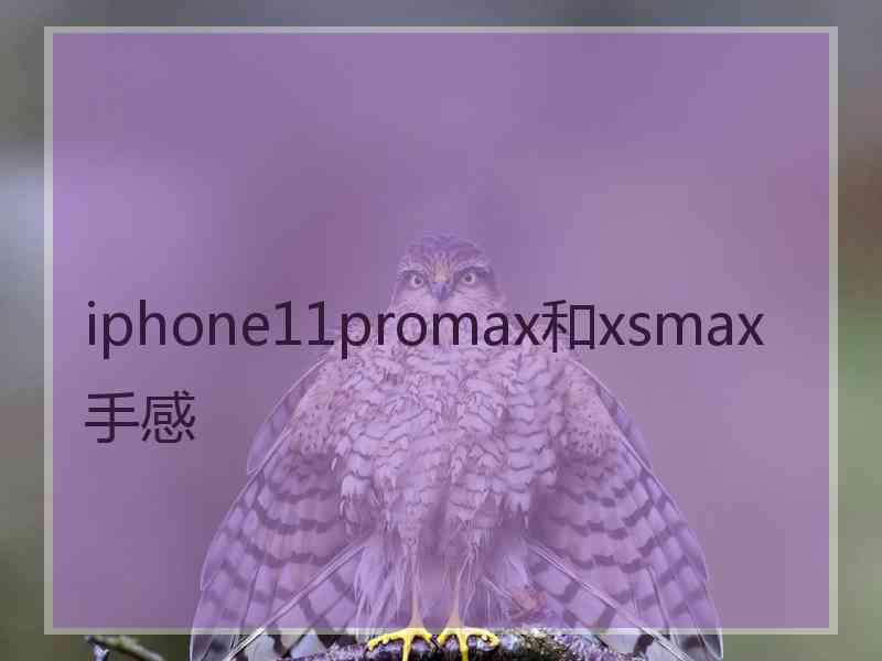 iphone11promax和xsmax手感